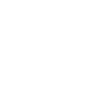 icon iso